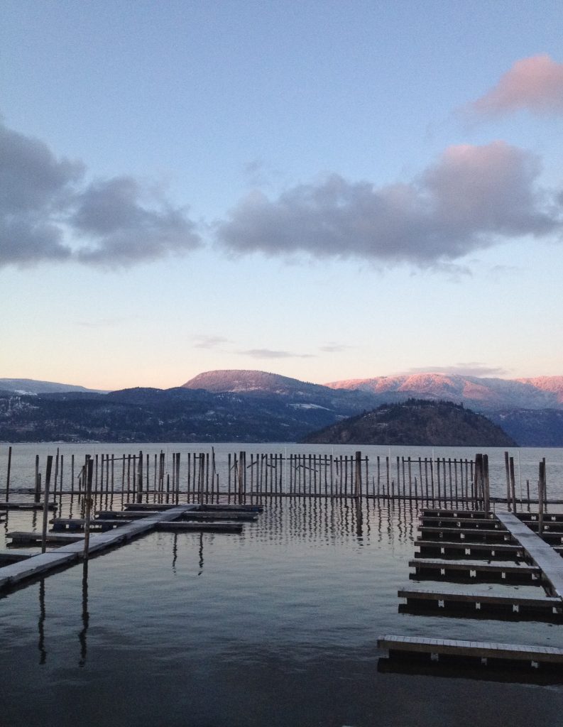 Surf Membership Cowichan